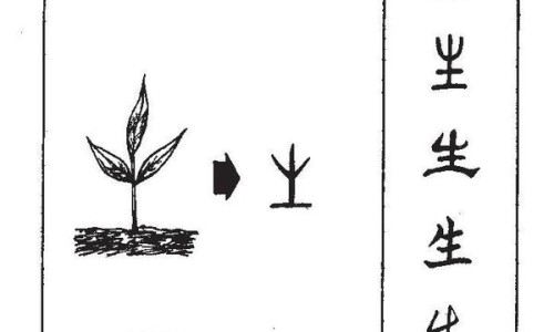 黄米的功效与禁忌-黄米的功效与作用、禁忌和食用方法专区_黄米的功效与作用及营养价值专区_黄米的功效与网